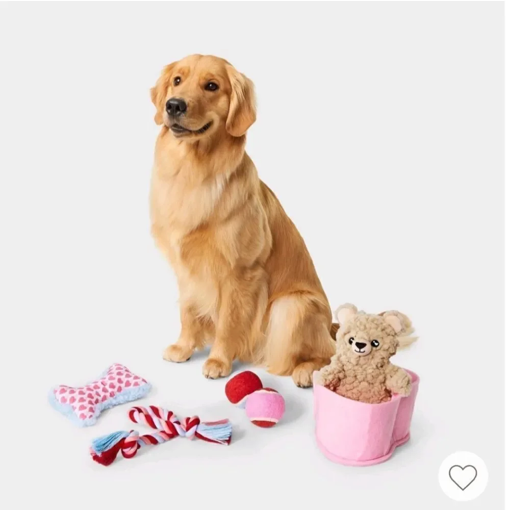 Christmas Easter Valentines Gift Pack Dog Rope Plush Toy Set 5pc Boots & Barkley